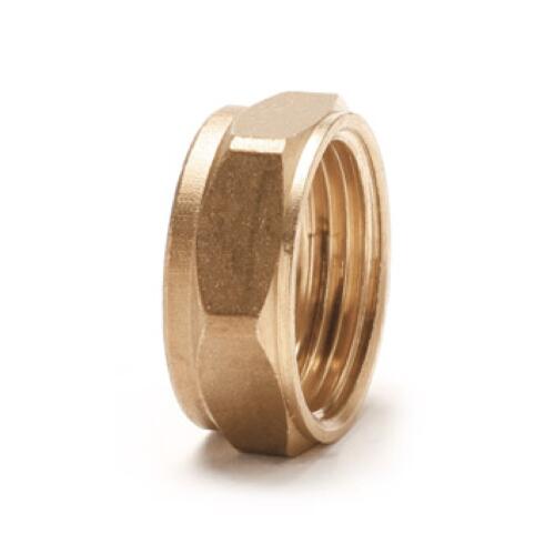 An image of the Flowflex Cap Nut, product code: P163